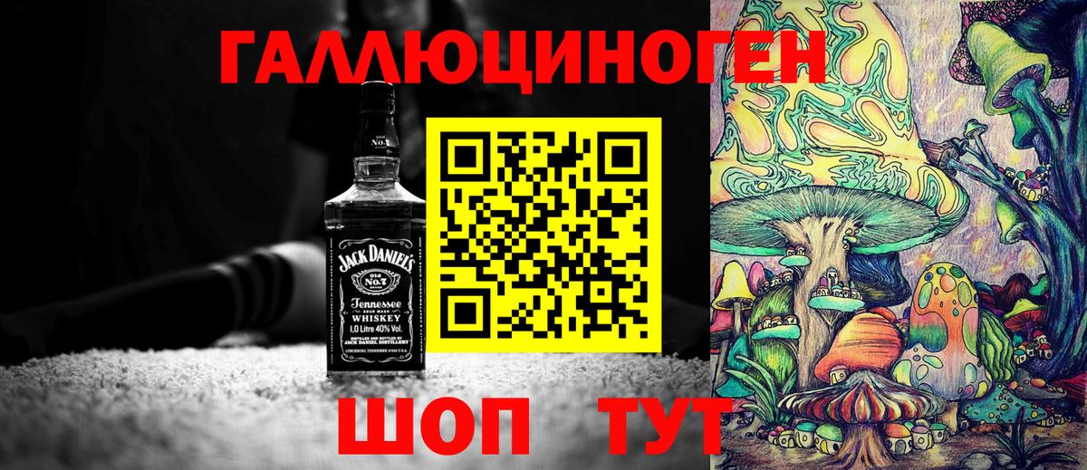 Мичуринск  Галлюциногенные грибы MAGIC MUSHROOMS  Вход с VPN  Галлюциногенные грибы Psilocybine cubensis 